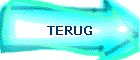 TERUG